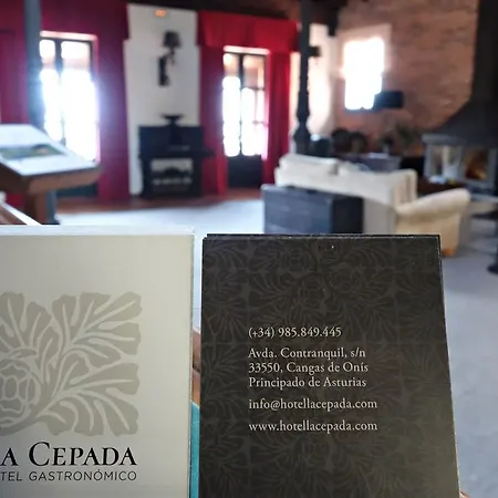 Отель Mirador De La Cepada 4*